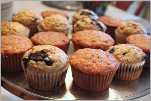 Blueberry Low Sugar Muffin and Pancake Mix