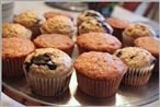 Blueberry Low Sugar Muffin and Pancake Mix