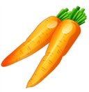 Golden Choice Carrot Puree