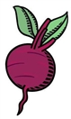 Golden Choice Beet Puree