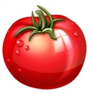 Golden Choice Tomato Puree